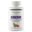 Paradise Herbs, Берберин 500 мг, 60 капсул
