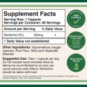 Double Wood Supplements, Берберин, 60 капсул