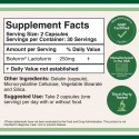Double Wood Supplements, Lactoferrin, Лактоферрин, 250 мг в 2 капсулах, 60 капсул