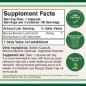 Double Wood Supplements, Bacopa Extract, Бакопа 450 мг, 90 капсул